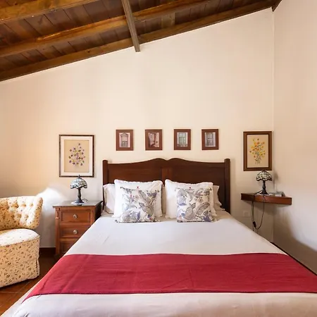 Live Arico El Cango Villa La Degollada